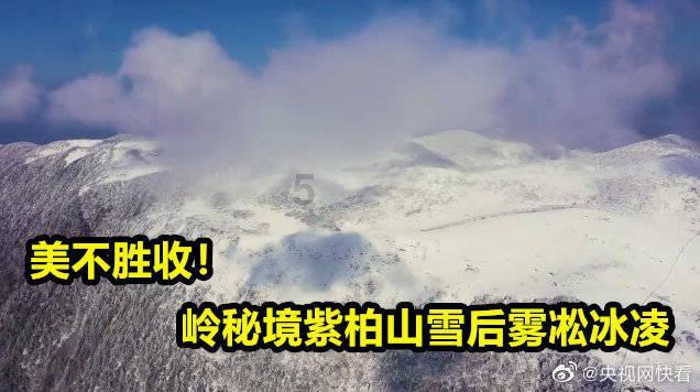 Sky光遇