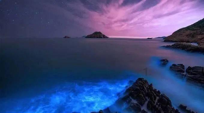 海盗寻宝记